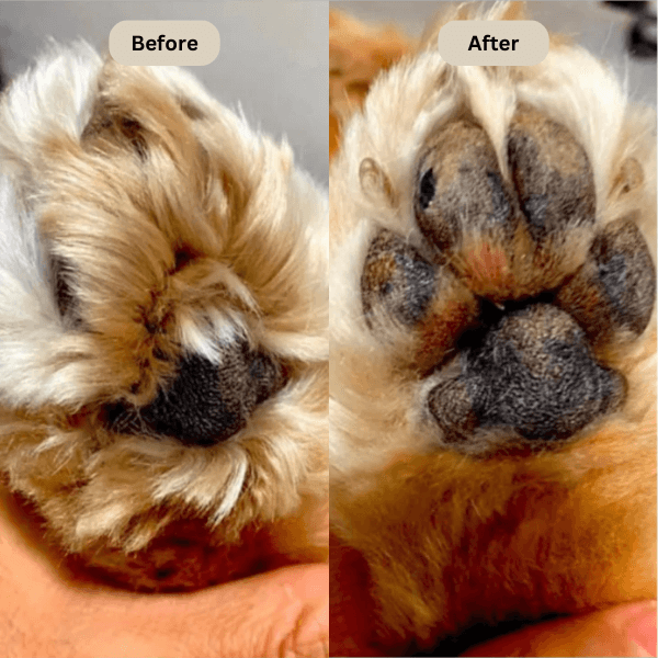 Ervella™ Electric Fur Trimmer