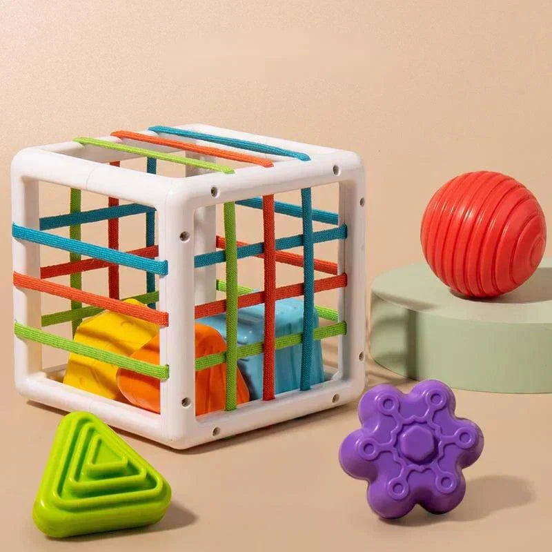 Ervella Box - Educational Box