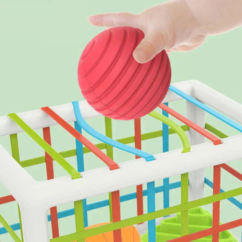 Ervella Box - Educational Box