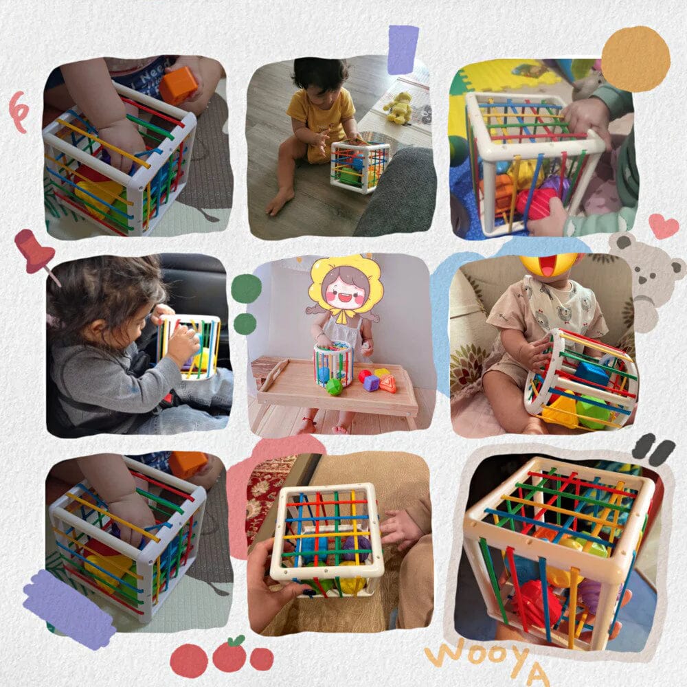 Ervella Box - Educational Box
