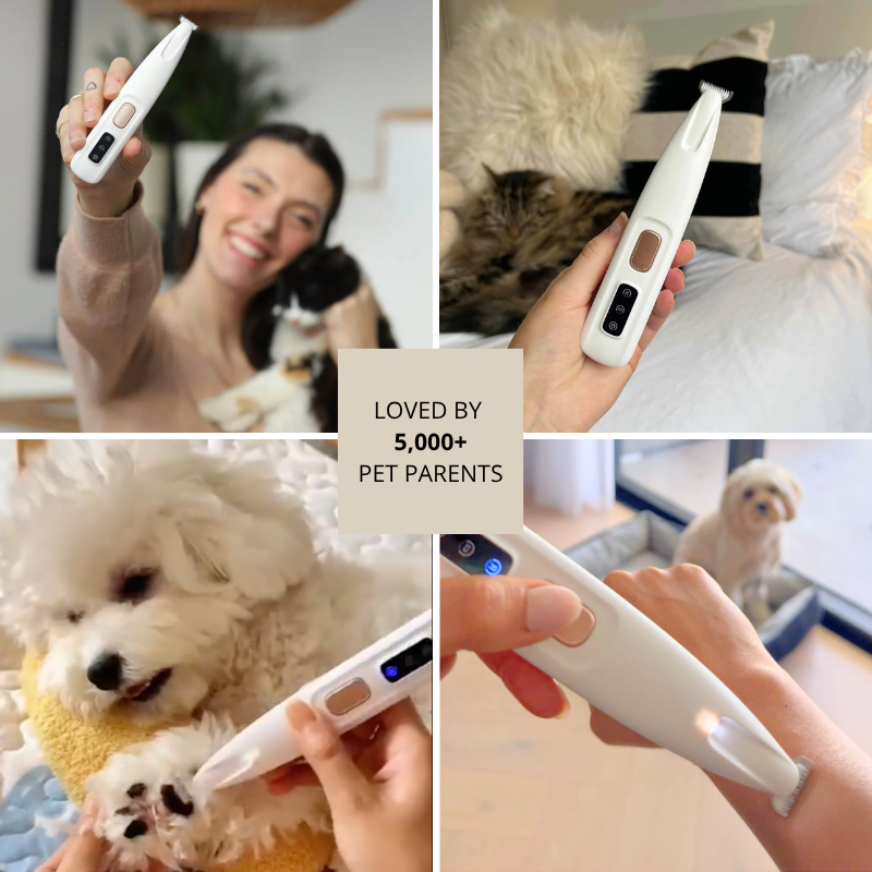 Ervella™ Electric Fur Trimmer